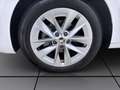 Skoda Octavia Combi 2.0 TDI DSG STYLE NAVI AHK PDC SITZHZG Weiß - thumbnail 8