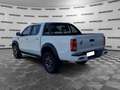 DR Automobiles PK8 2.0 Turbo Diesel Doppia Cabina 4x4 Blanco - thumbnail 5