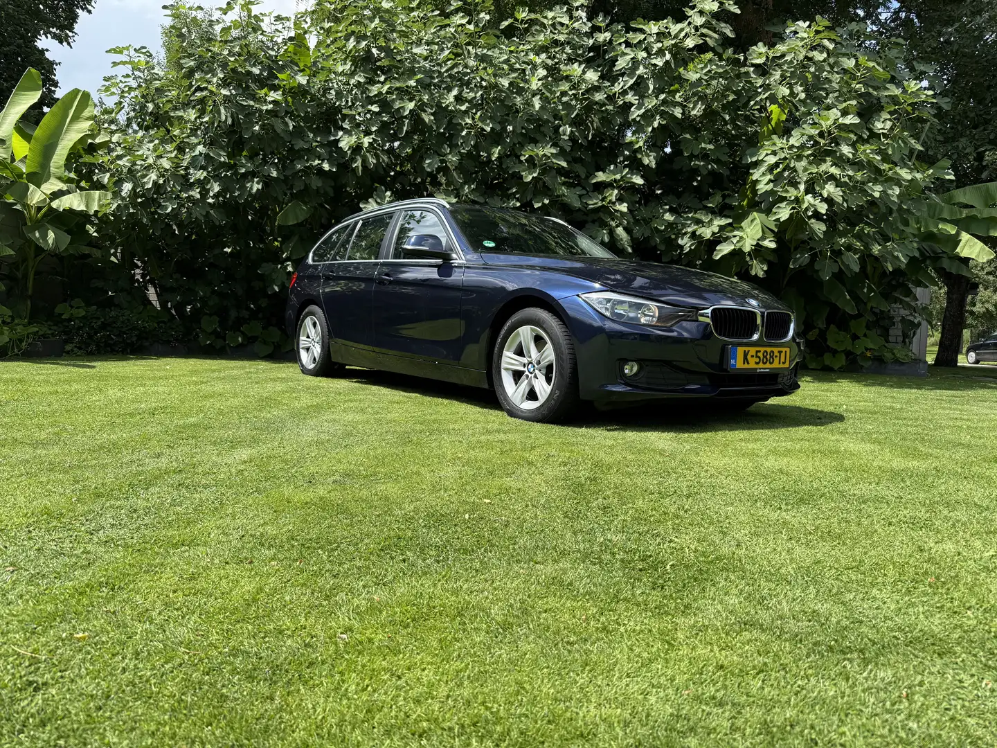 BMW 316 Executive Blauw - 1