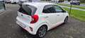 Kia Picanto GT-Line Weiß - thumbnail 4
