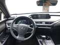 Lexus UX 250h 2019 250h 2.0 Executive 2wd cvt - thumbnail 19