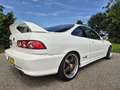 Honda Integra 1.8i Weiß - thumbnail 4