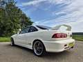Honda Integra 1.8i Weiß - thumbnail 6