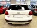 Audi Q2 SPORT/PANO/LED/19 ZOLL S-LINE/ MTL.RATE 205,- Weiß - thumbnail 18
