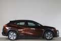 Lexus UX 300e Business 54 kWh - NL- Auto!! Stoelverw. I Elek. st Braun - thumbnail 9