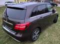 Mercedes-Benz B 200 B 200 d Aut. Braun - thumbnail 6