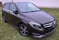 Mercedes-Benz B 200 B 200 d Aut. Braun - thumbnail 9