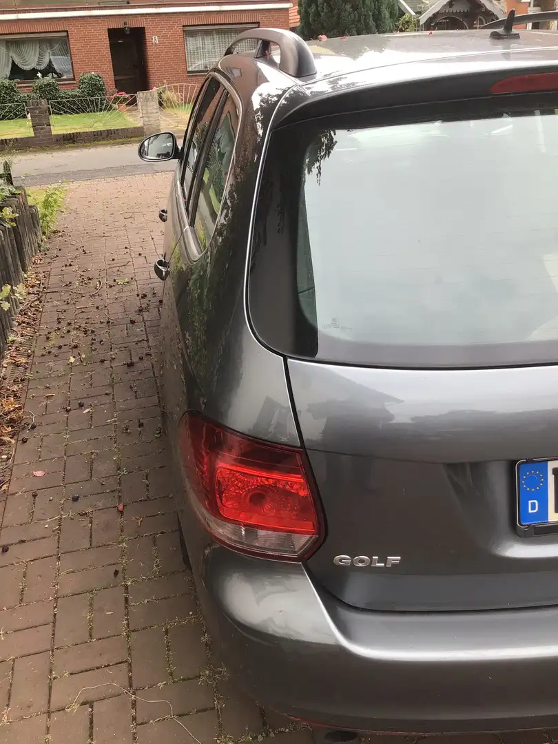 Volkswagen Golf Variant Golf Variant 1.6 TDI Grau - 2