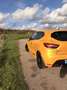 Renault Clio 1.6 R.S. Amarillo - thumbnail 7