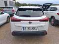 Lexus UX 250h 2.0 Business Negro - thumbnail 5