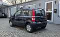 Fiat Panda 1.2 8V Dynamic,Klima,8 Fach,Servo City Schwarz - thumbnail 11