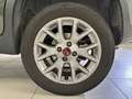 Fiat Panda 0.9 TwinAir Turbo 85cv E6 S&S 6M 4x4 Verde - thumbnail 7