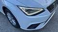 SEAT Ibiza 1.0 TSI 81KW STYLE PLUS 110 5P Blanco - thumbnail 7