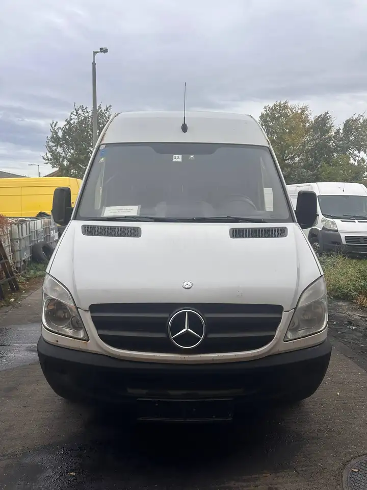 Mercedes-Benz Sonstige