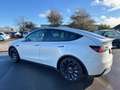 Tesla Model Y Performance Dual AWD Wärmepumpe 21Zoll Weiß - thumbnail 7