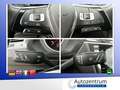 Volkswagen Tiguan 2.0 TSI DSG 4Motion R-Line *LED*AHK*NAVI* Schwarz - thumbnail 12