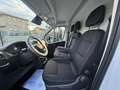 Fiat Ducato 35 2.2 Mjt 140CV PM-TM Furgone Bianco - thumbnail 10