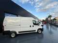 Fiat Ducato 35 2.2 Mjt 140CV PM-TM Furgone Bianco - thumbnail 4