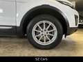 Land Rover Range Rover Evoque Pure*KAM*LED*SPUR*NAVI Weiß - thumbnail 14