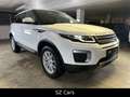 Land Rover Range Rover Evoque Pure*KAM*LED*SPUR*NAVI Weiß - thumbnail 4