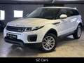 Land Rover Range Rover Evoque Pure*KAM*LED*SPUR*NAVI Weiß - thumbnail 1