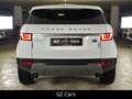 Land Rover Range Rover Evoque Pure*KAM*LED*SPUR*NAVI Weiß - thumbnail 7