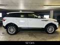 Land Rover Range Rover Evoque Pure*KAM*LED*SPUR*NAVI Weiß - thumbnail 5