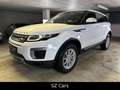 Land Rover Range Rover Evoque Pure*KAM*LED*SPUR*NAVI Weiß - thumbnail 10