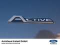 Ford Focus Active 1.0 EcoBoost Mild-Hybrid EU6d Grau - thumbnail 23