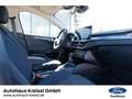 Ford Focus Active 1.0 EcoBoost Mild-Hybrid EU6d Grau - thumbnail 22