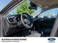Ford Focus Active 1.0 EcoBoost Mild-Hybrid EU6d Grau - thumbnail 9
