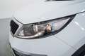 Kia Sportage 1.6 GDI Eco-Dynamics x-Tech 4x2 Blanco - thumbnail 10