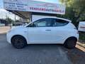 Lancia Ypsilon Ypsilon III 2015 1.2 ecochic Gpl 69cv Bianco - thumbnail 4