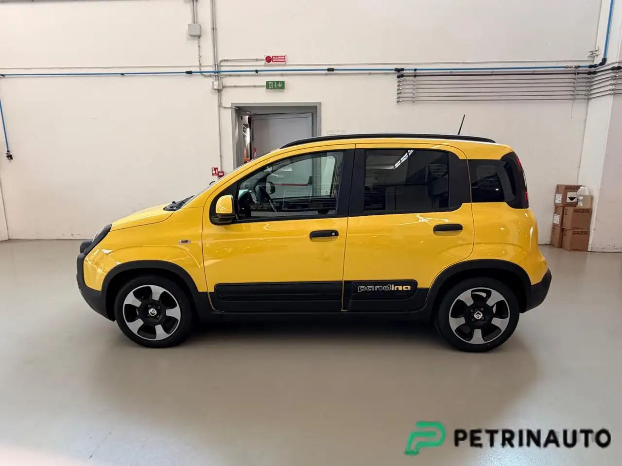 Fiat Panda Pandina Cross 1.0 firefly hybrid s&s 65cv KM.0 5