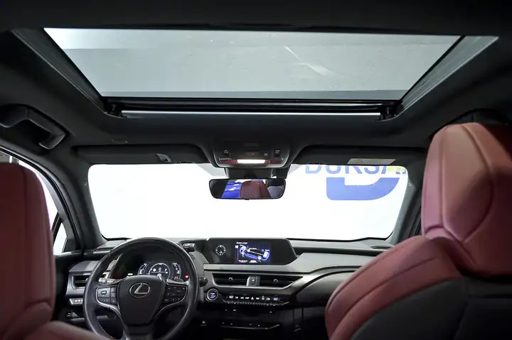 Lexus UX 250h F SPORT 2022, foto 12