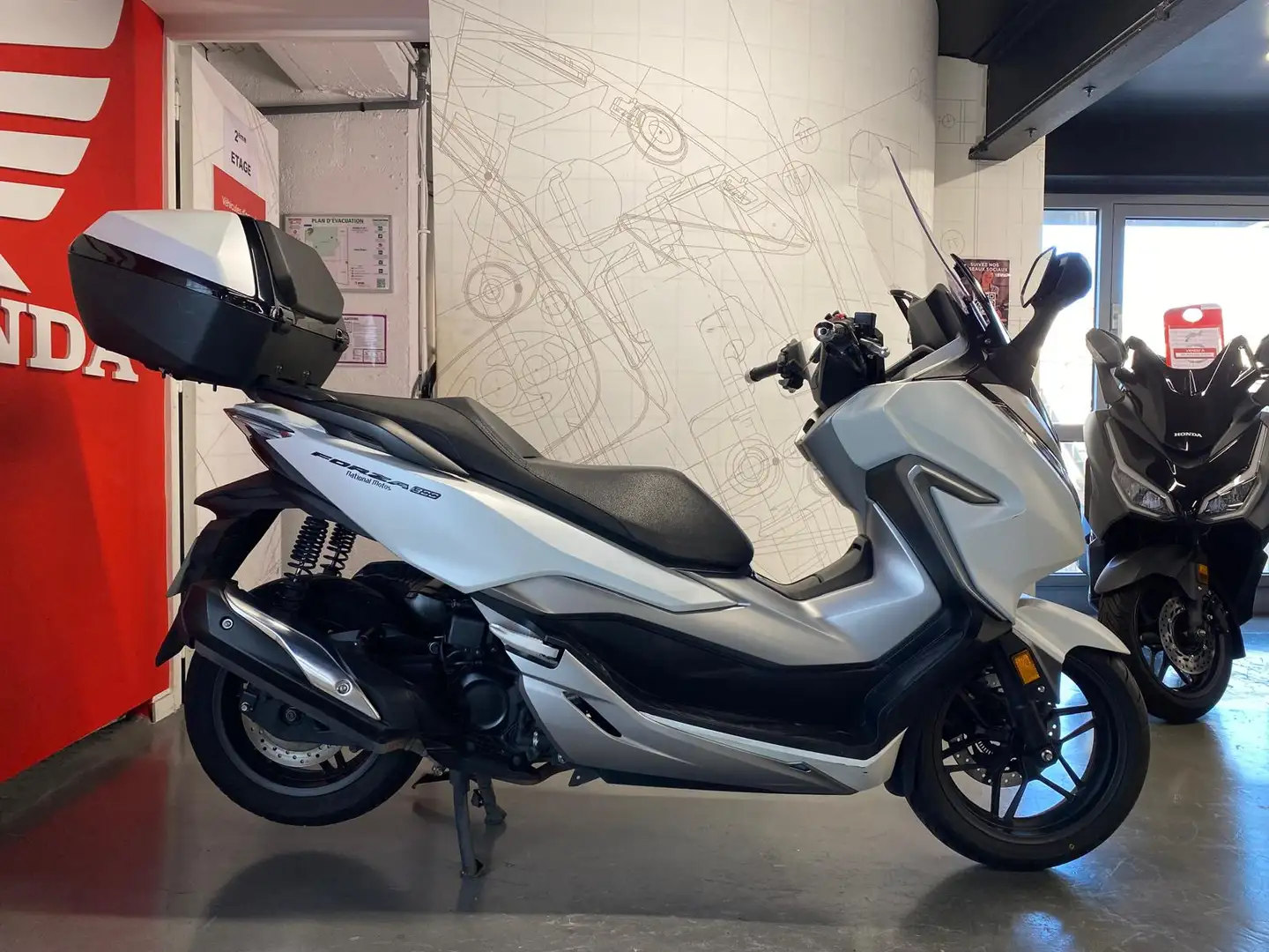 Honda Forza 300 Weiß - 2