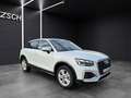 Audi Q2 35 TFSI advanced Matrix Sportsitze Weiß - thumbnail 9