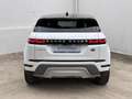 Land Rover Range Rover Evoque 2.0d  mhev awd 163cv auto - AUTOCARRO - Blanco - thumbnail 12
