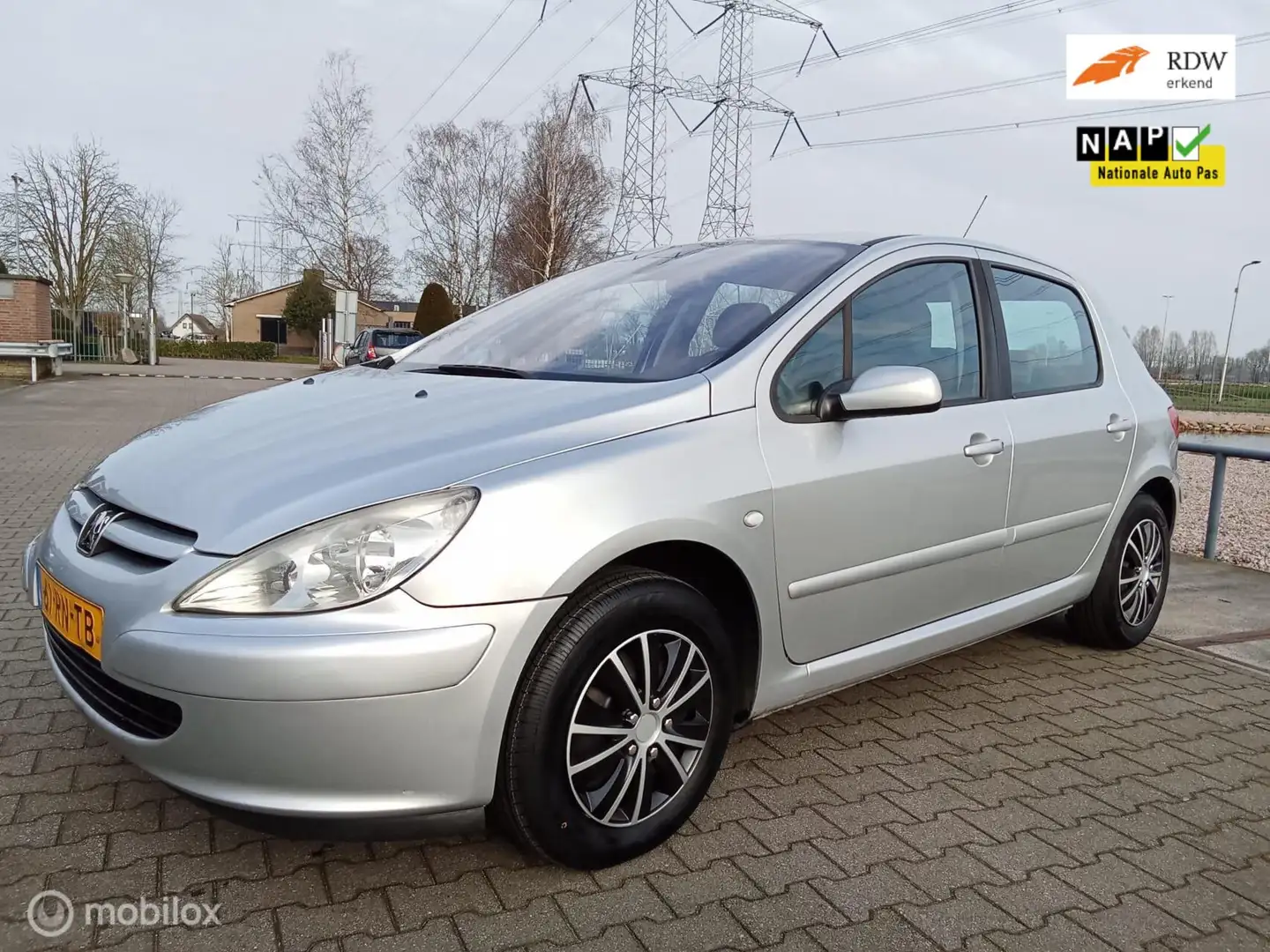 Peugeot 307 1.6-16V XS Premium/clima/trekh/nw apk Gris - 1