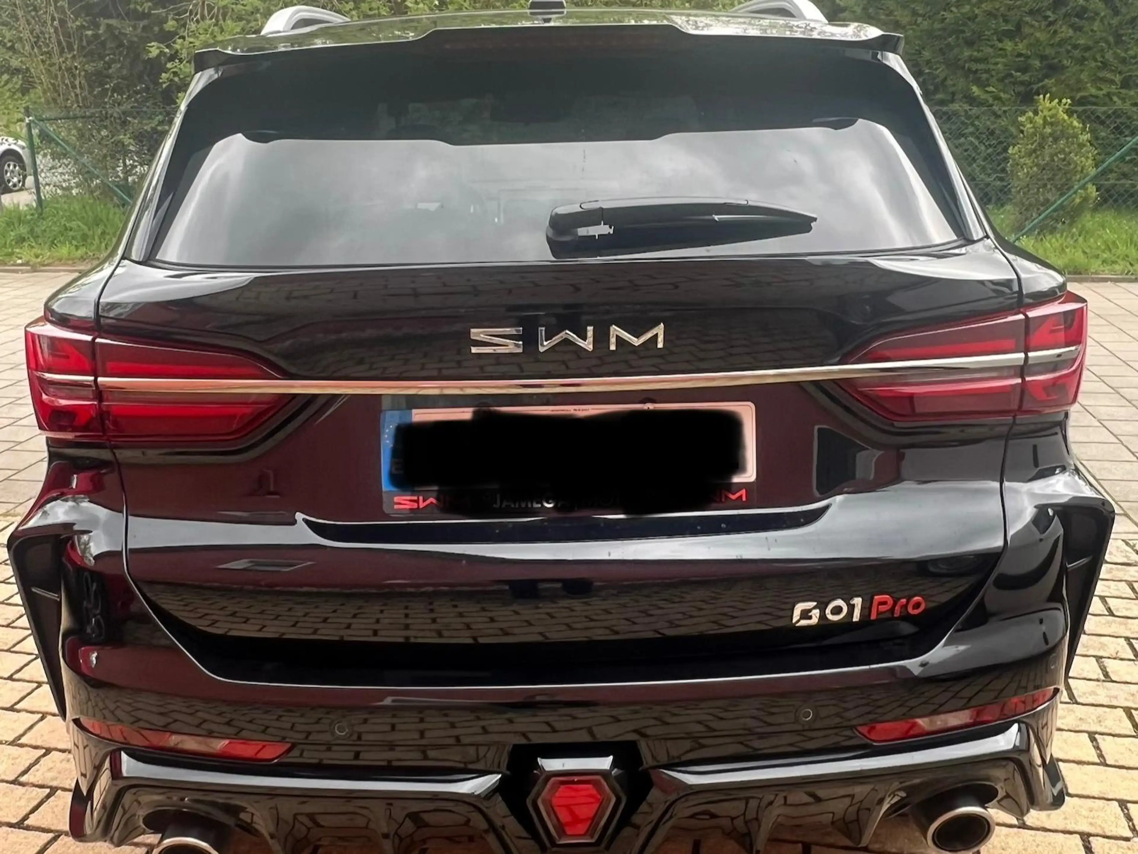 SWM G01 G01F Premium — photo 12