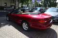 Chrysler Stratus 2.5 LX Cabrio 1.Hand Wenig Km! Klima TUV Mauve - thumbnail 11