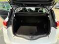 Renault Scenic 1.7 BLUE DCI 150CH BLACK EDITION EDC Weiß - thumbnail 13