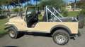 Jeep AMERICAN MOTORS CORPORATION CJ 6 Beige - thumbnail 6