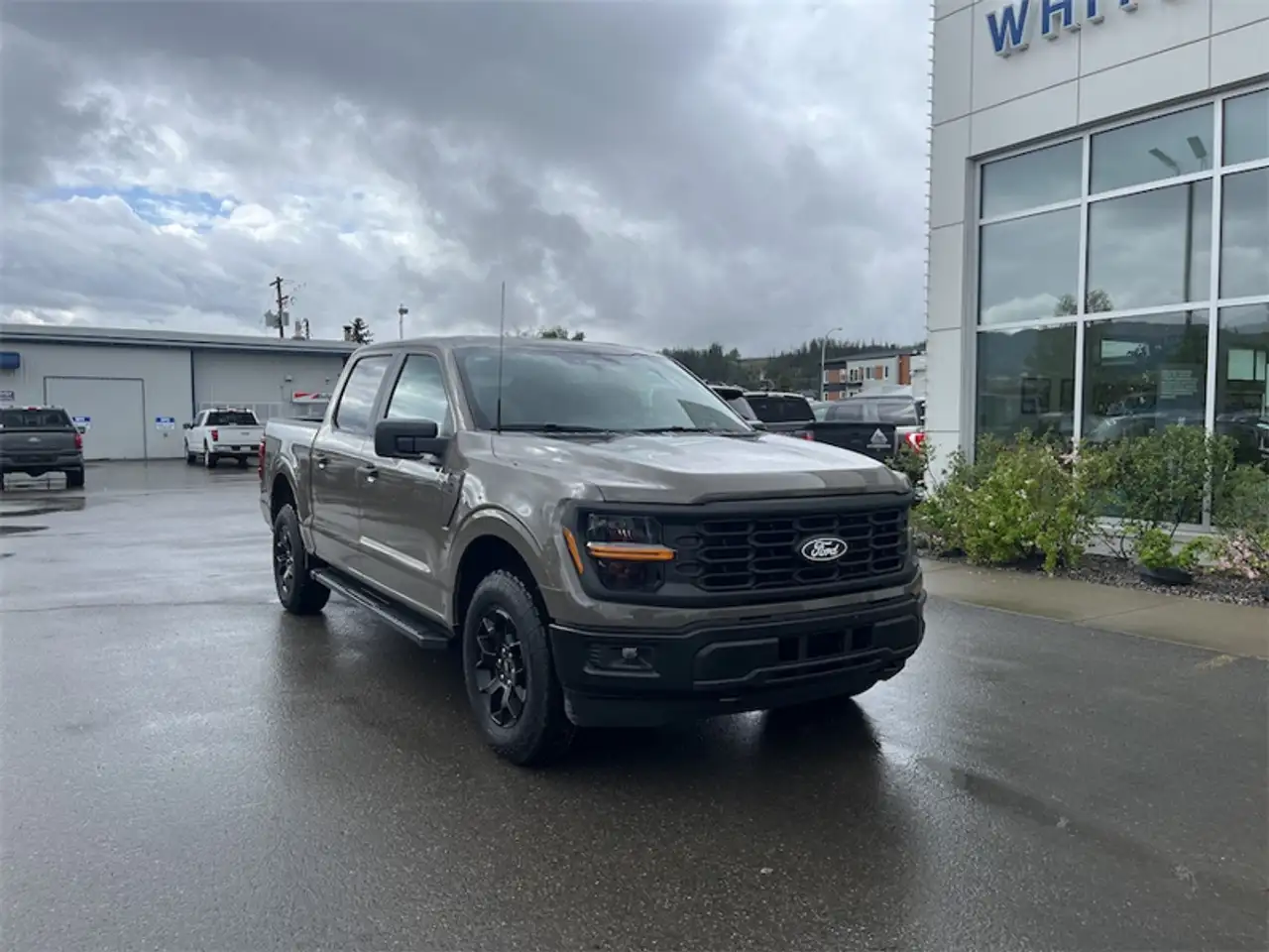 Ford F 150 снимка Ford F 150