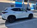Lexus NX 450h+ Executive+ 4WD Blanco - thumbnail 6