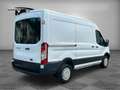 Ford Transit Kasten H2+L2 3.Stz Klima Standheizung Blanc - thumbnail 5