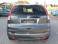 Honda CR-V Executive 4WD VOLLAUSSTATTUNG AHK Grau - thumbnail 4