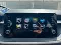 Skoda Fabia Selection NEW 5 Jahre Garantie -*LED* Grau - thumbnail 11