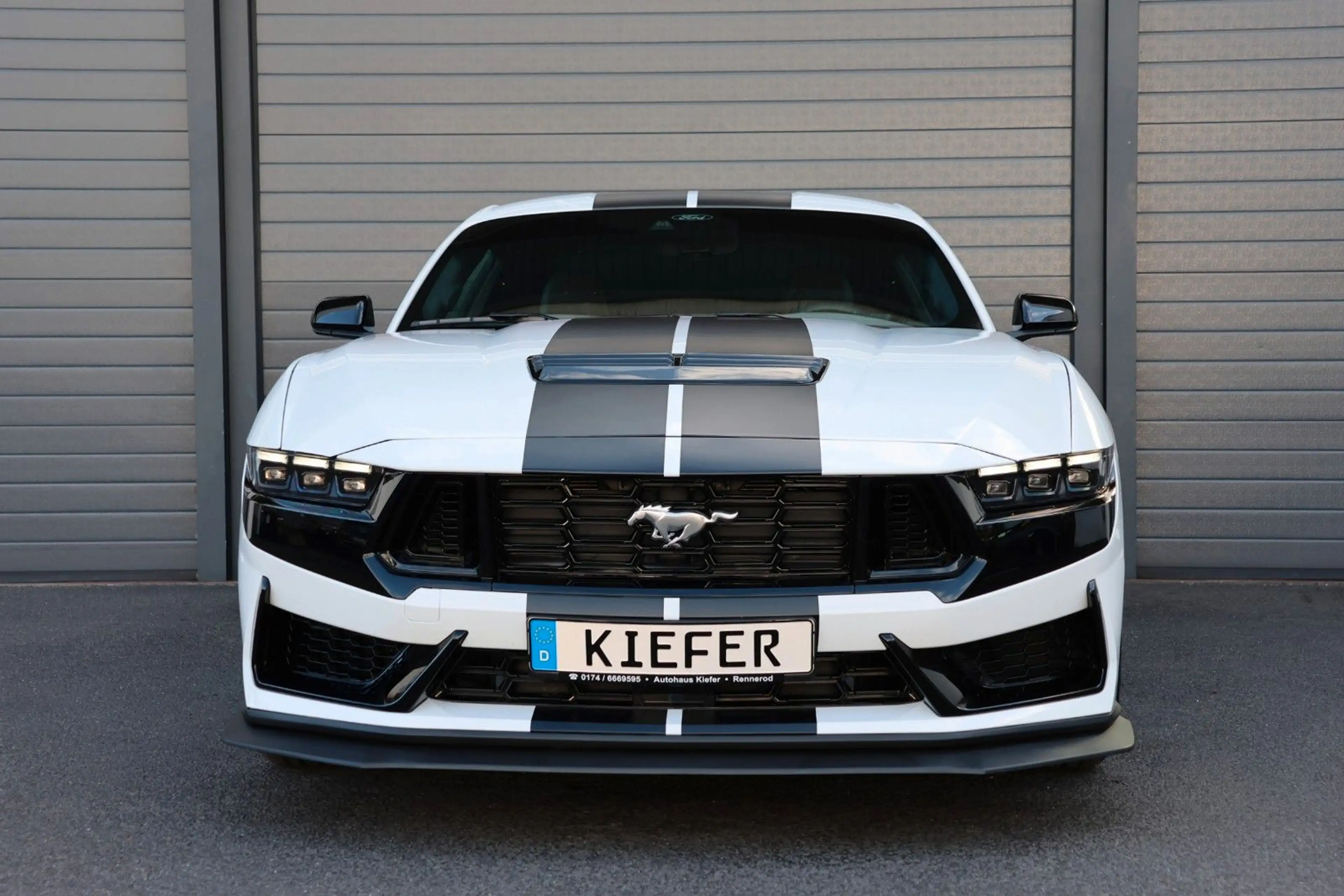 Ford Mustang 2.3 DARK HORSE/SHZ/KAMERA/TOTW/SPUR/R20 — photo 3