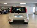 Fiat Panda 1.0 FireFly 70cv S&S Hybrid City Life Blanco - thumbnail 4